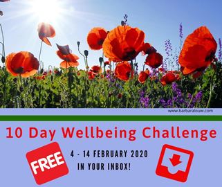 Wellbeing Challenge 3 small